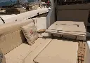 vdfdv.webp