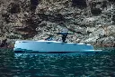 Pardo 43